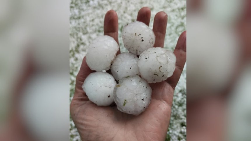 Градушката в Новозагорско унищожи всичко: Земеделците вдигат ръце
