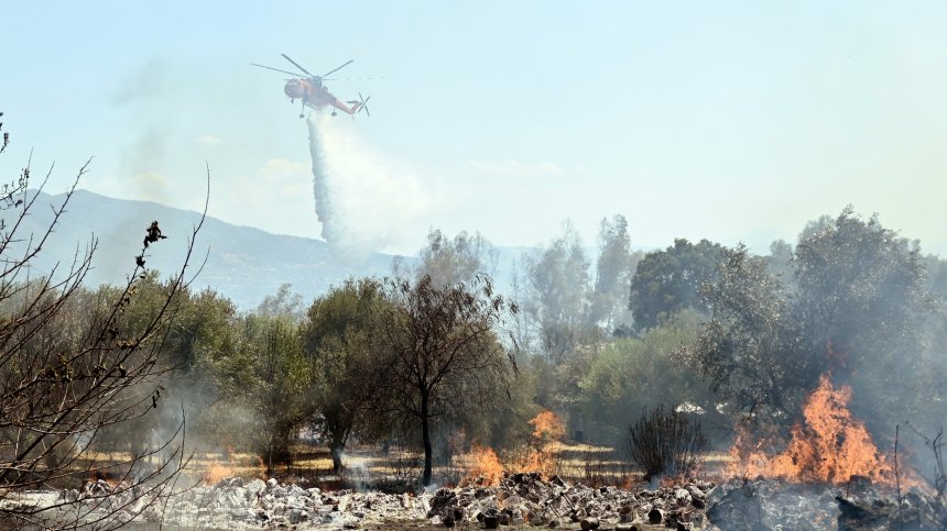 Редица пожари в Албания и Гърция, температурите надвишават 40&deg;C