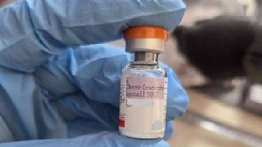 Разкриха лаборатория за производство на хормонални препарати в Пирдоп
