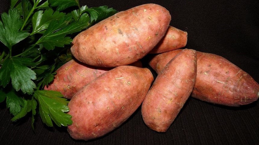 Защо консумацията на сладки картофи е полезна?