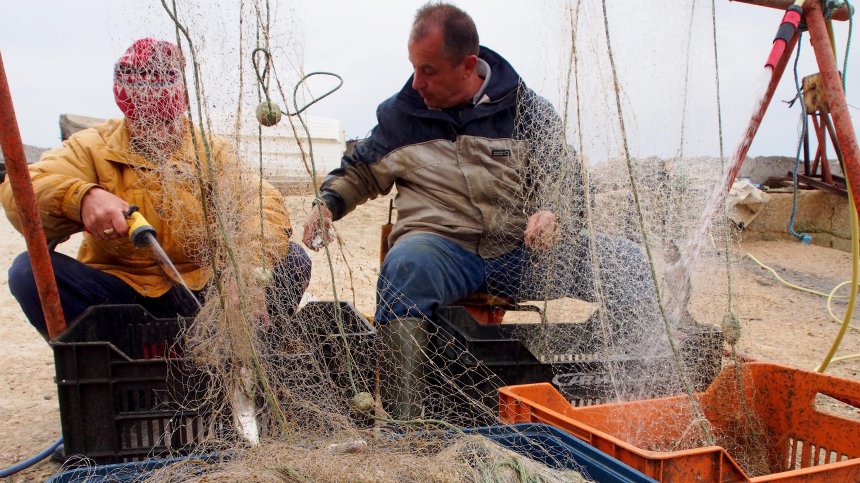 Южното Черноморие дава само сафрид и попчета