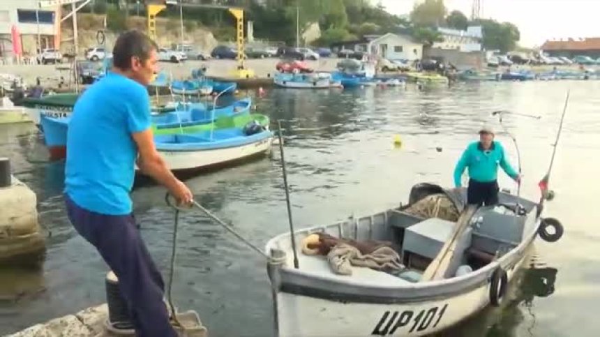 Рибарите в Царево и Ахтопол се радват на богат улов от паламуд