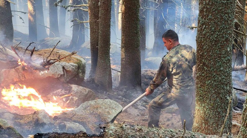 Локализираха пожара над село Бистрица в Рила