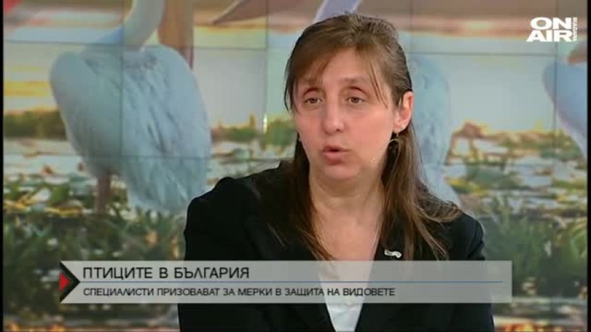 Птиците, които изчезнаха - продължение