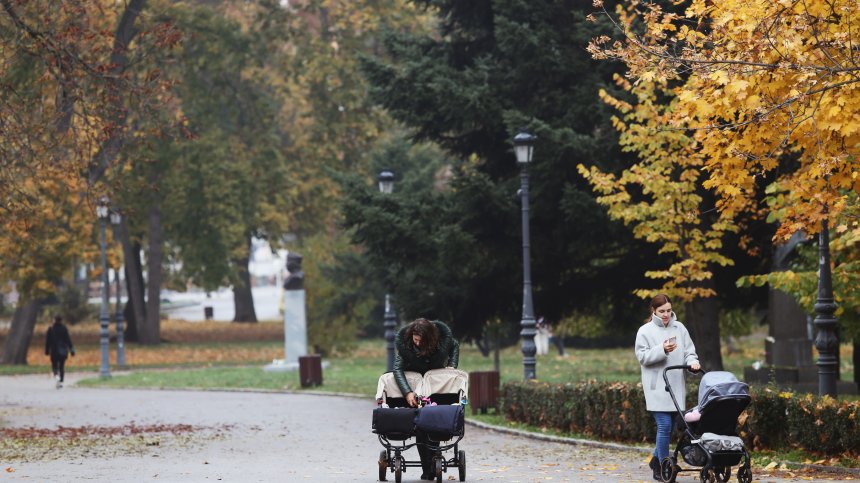 Промени в Борисовата градина: Ще има ли ново строителство и сеч?