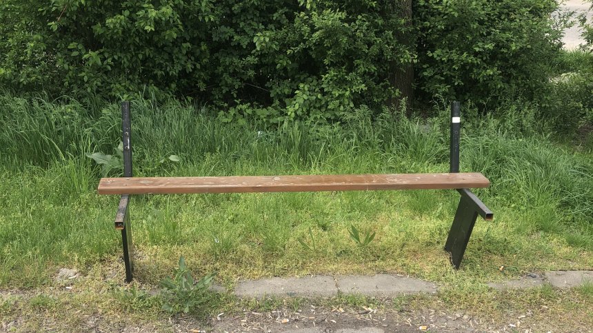 Столична градинка: Кърлежи, трева до колене, изпочупени пейки и кошчета