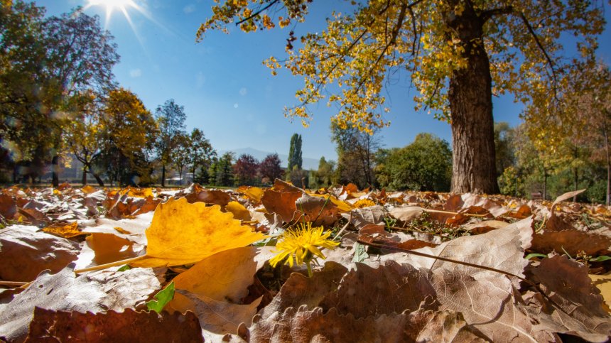 Топла и слънчева сряда, температурите се понижават от четвъртък