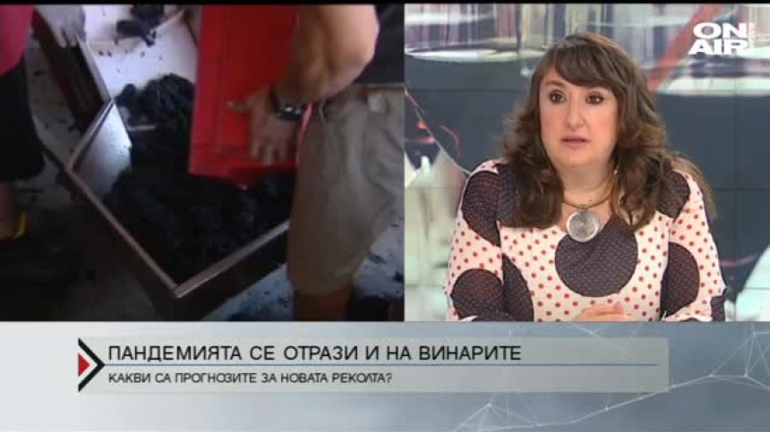 Очакват фалити на винопроизводители заради коронакризата