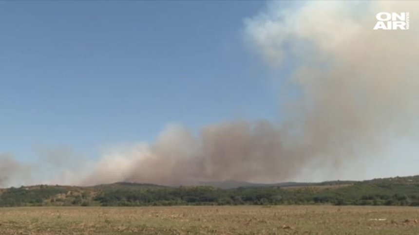 Пожарът край Хасково е обхванал 8000 декара площ