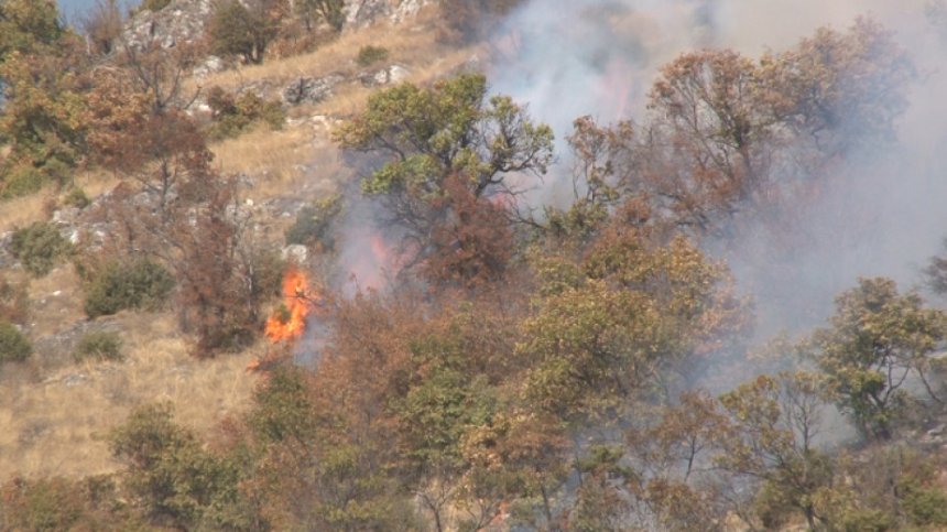 Голям пожар се разрази край ивайловградското село Свирачи