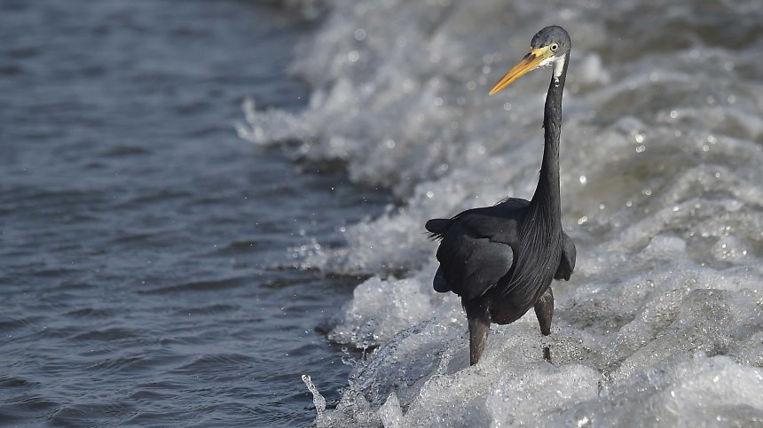 Температурите в световен мащаб остават опасно високи и през април