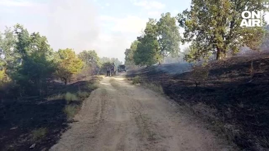 Овладяха пожара край Калояново, тръгнал е от земеделски стопанин