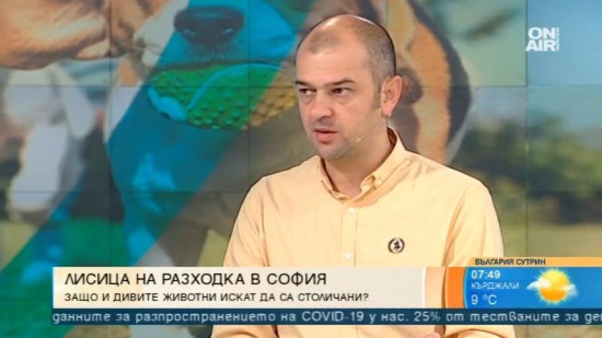 Незаконна практика: Ветеринарят на спасеното чихуахуа не бил регистриран