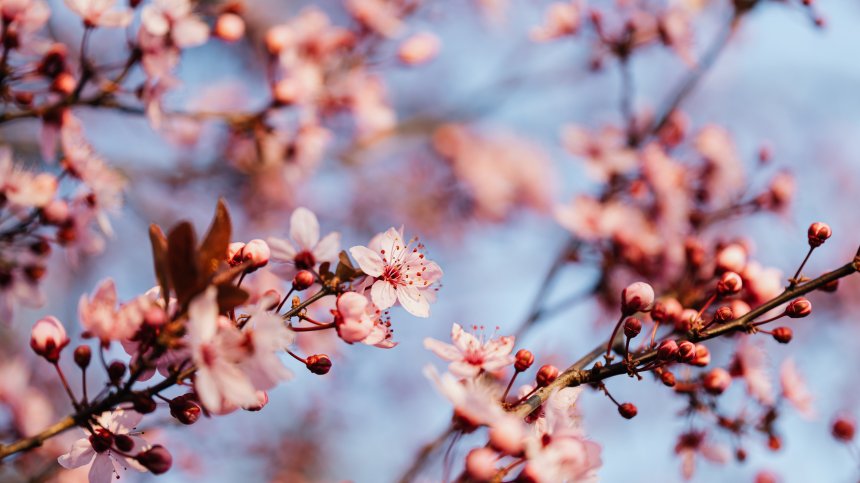 Очаква ни слънчева неделя, живакът скача до почти 30&deg;