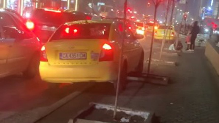 HelpBook в кадър: Такси гази новопосадени дръвчета заради задръстване 