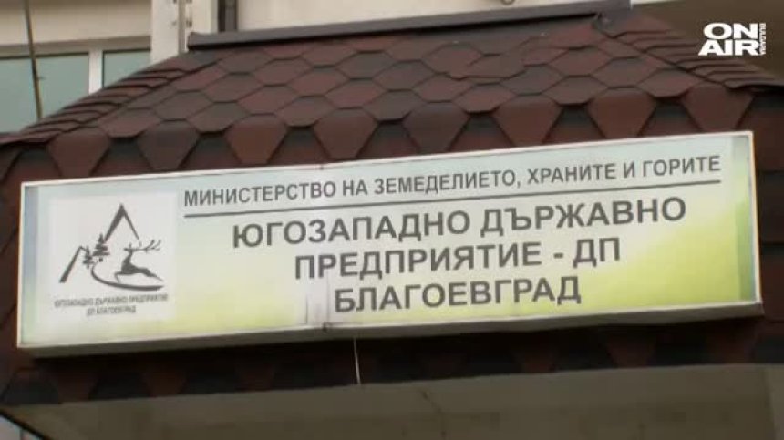Задържаха бракониери, застреляли сърна