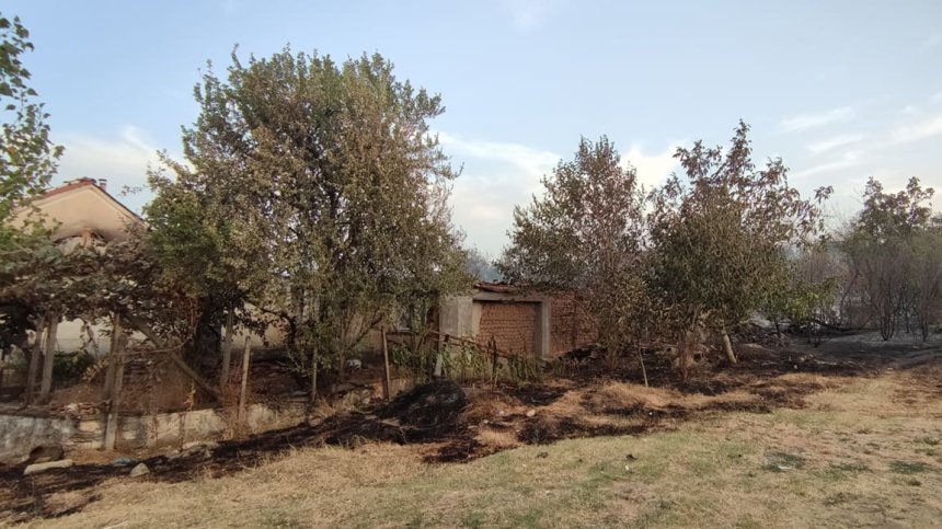 Очевидци за пожара в Старосел: Пламъците са огромни, кошмарно е!
