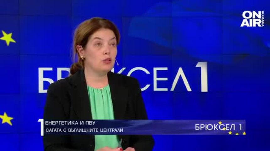 Ива Петрова: Парламентът ни даде картбланш за разговори с Украйна относно АЕЦ "Белене"