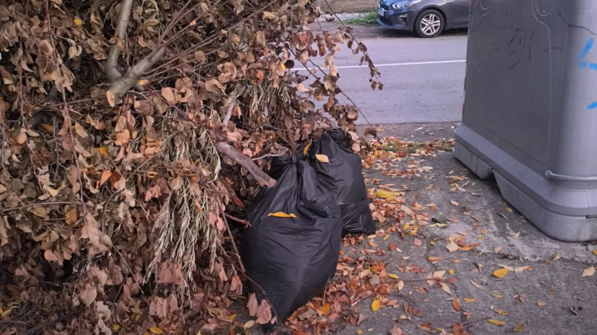На главната в Бургас: Купчини клони отлежават повече от два месеца