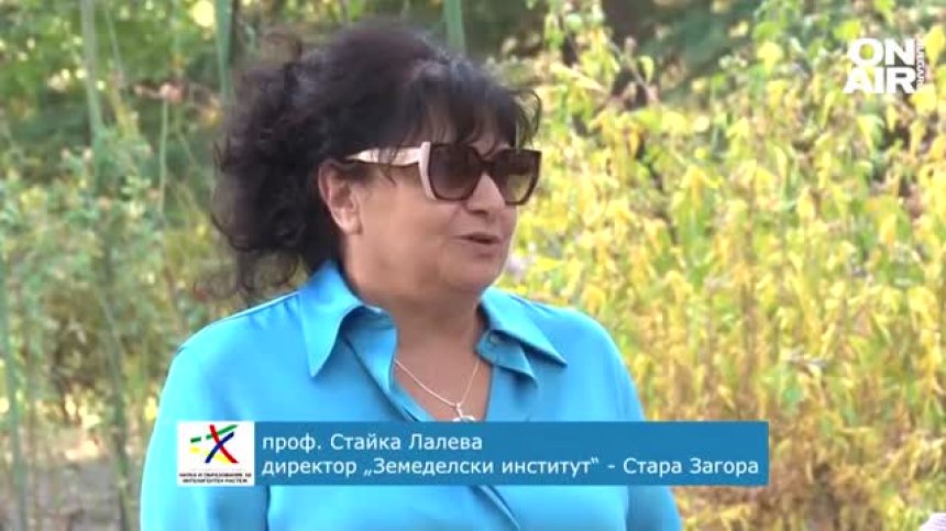 Студенти от Тракийския университет и УНСС трупат безценен опит в Земеделския институт в Стара Загора