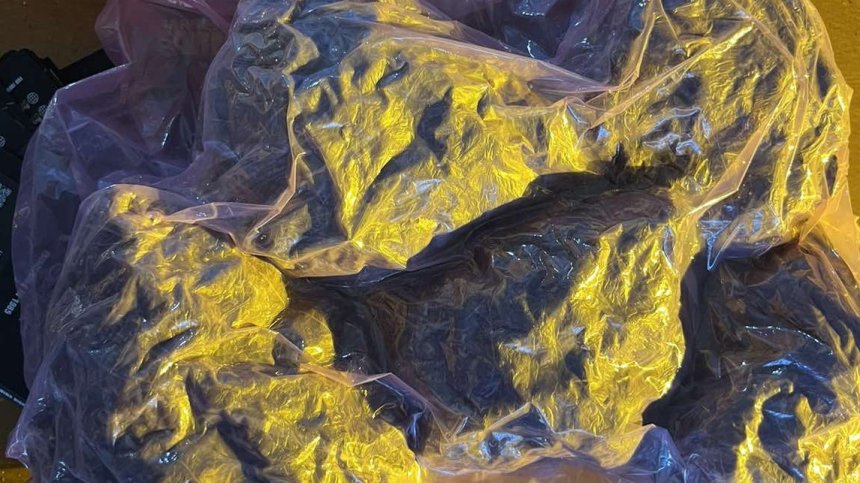 Разкриха наркооранжерия при спецакция в Бургас, задържан е 26-годишен мъж