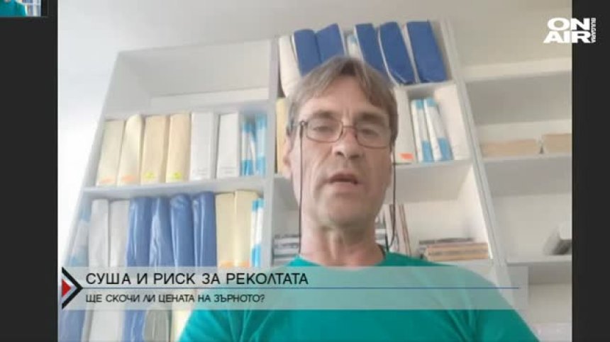 По-слаба реколта от зърно, но не очакват поскъпване на хляба