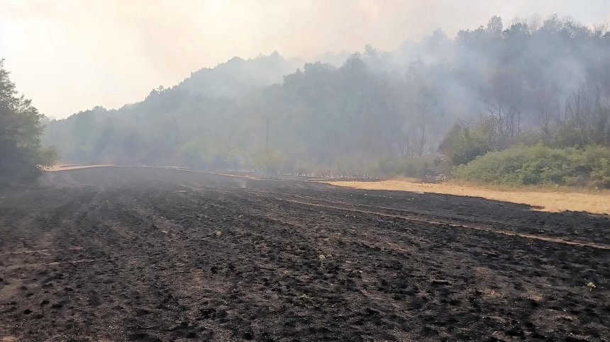 Пожарът край Белоградчик засегна 15 000&nbsp;декара земя, гасят две активни огнища