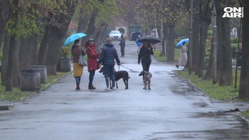 Столичният инспекторат погва собствениците на кучета &ndash; глобата до 450 лв.