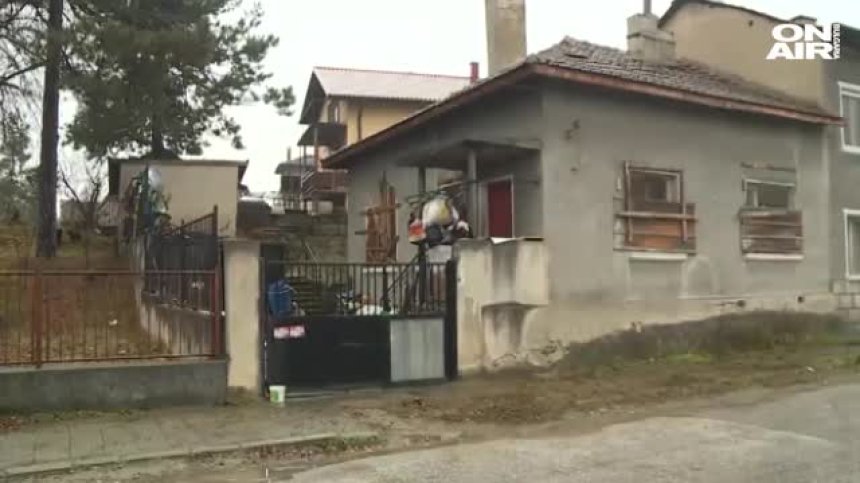 Бременна и дете - поредните жертви на глутница, отглеждана от жена в Костенец