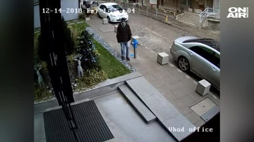Кражба на фигурка на еленчето Рудолф пред сграда в столицата разбуни социалните мрежи