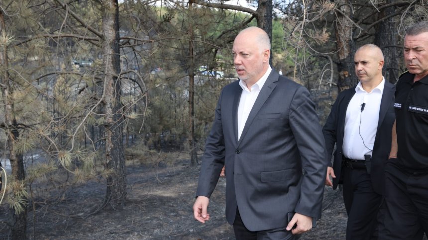 Желязков от Струмяни: Пожарите струват стотици милиони на българите