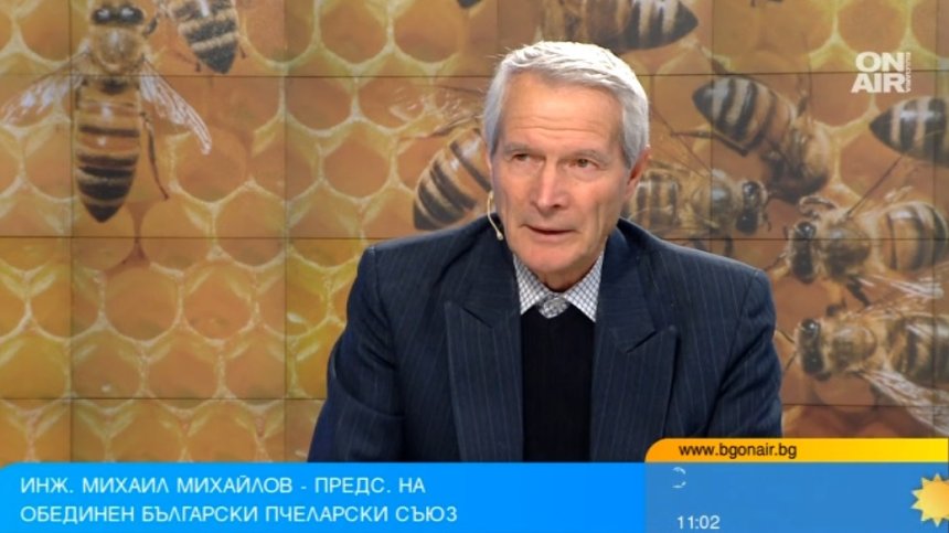 Вносният мед измества българския, пчелните семейства у нас измират