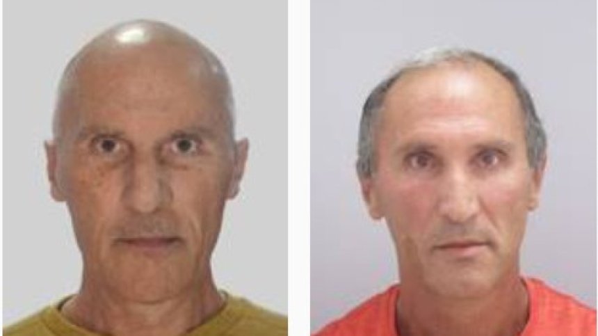 СДВР издирва двама братя близнаци, изчезнали на 15 март