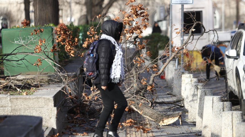 Внимание! Жълт и оранжев код за бурен вятър за 12 области у нас