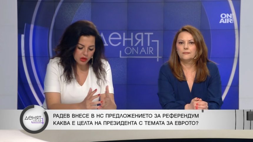 Референдум за еврото: Политически ход или обществена грижа?