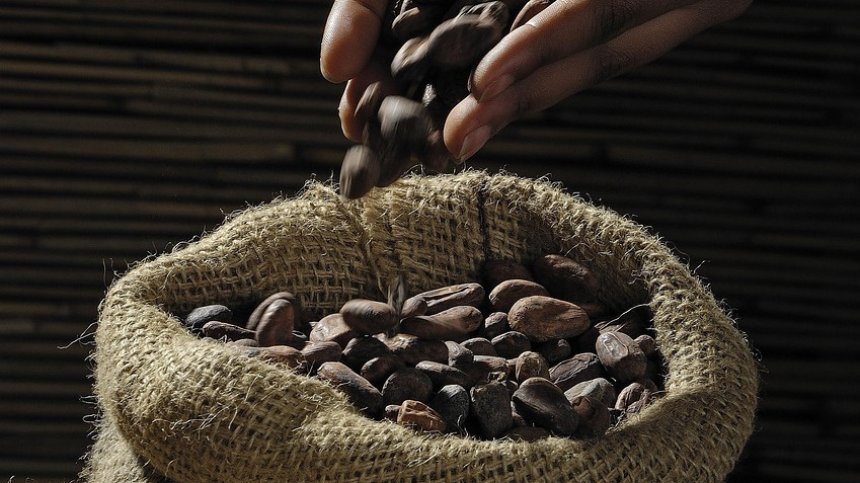 САЩ освобождават от мита вноса на кафе и какао