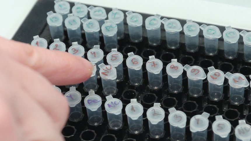 Трима починали и 89 новозаразени за денонощието