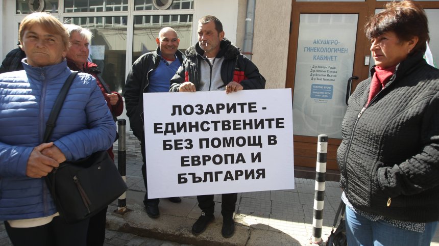 Лозарите излязоха на протест пред Министерството на земеделието