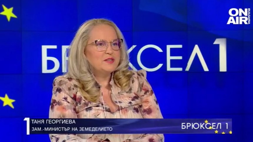 Таня Георгиева: Новите изисквания при директните плащания затрудняват земеделците