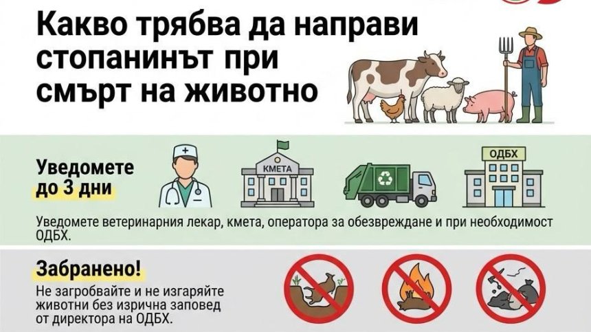 Важни указания на БАБХ при смърт на животно и предвидени санкции