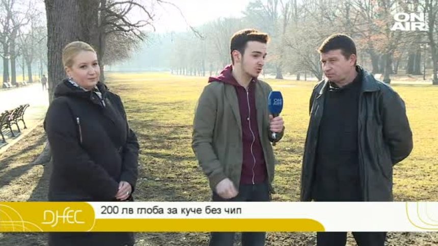 Какво да очакват стопаните на кучета? Нов закон и глоби за немаркирани животни