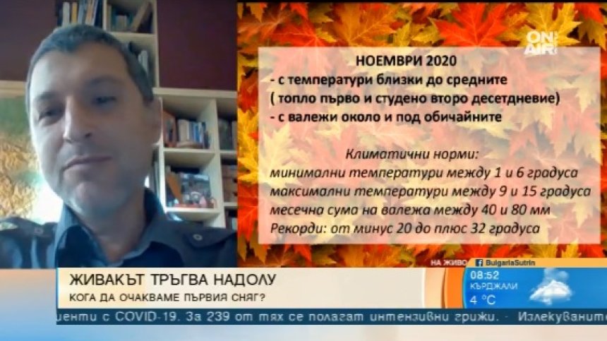 Студено в края на ноември, но без условия да натрупа сняг
