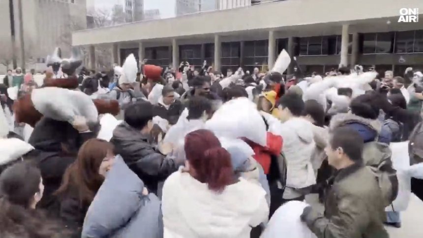 Масов бой с възглавници се проведе в Торонто (+ВИДЕО)