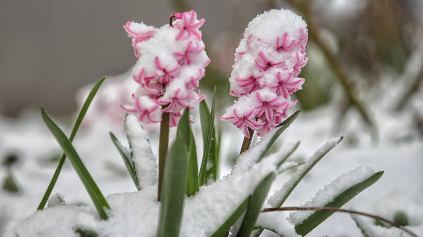 Мартенски сняг, дъжд, вятър - времето в сряда ще е динамично