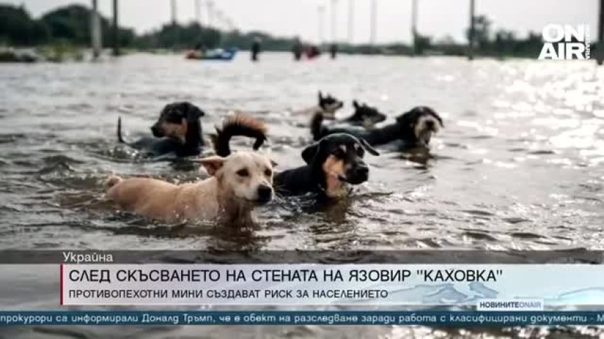 Сутрешна емисия