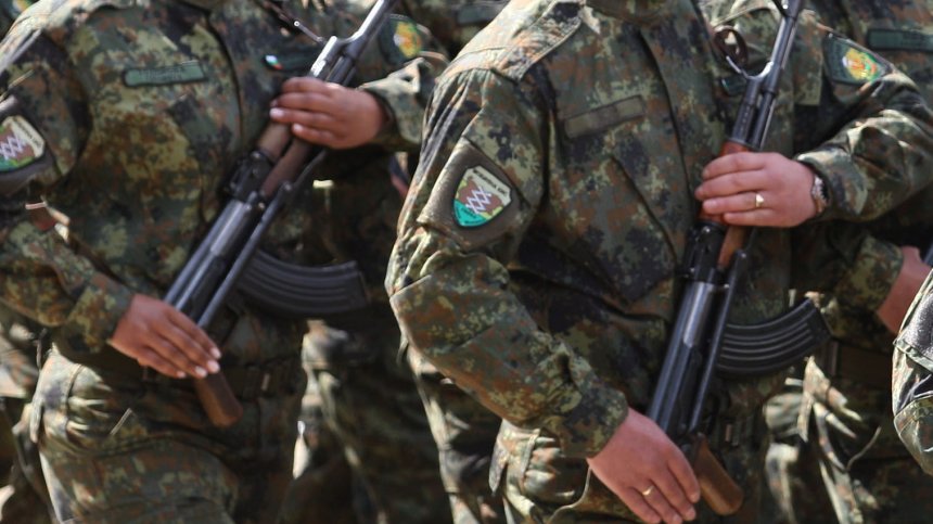 Идея на МО: Работиш като охранител - минаваш задължителна военна подготовка