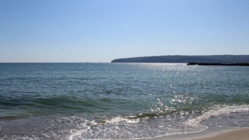 Заведенията тръгват на 