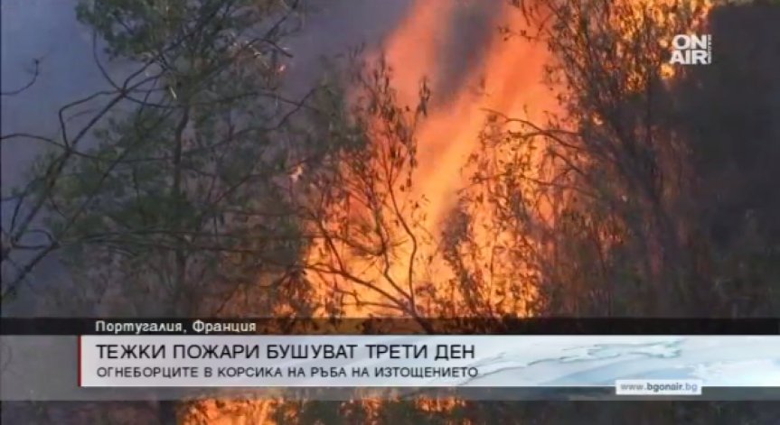 Португалия и Южна Франция обхванати от мощни пожари
