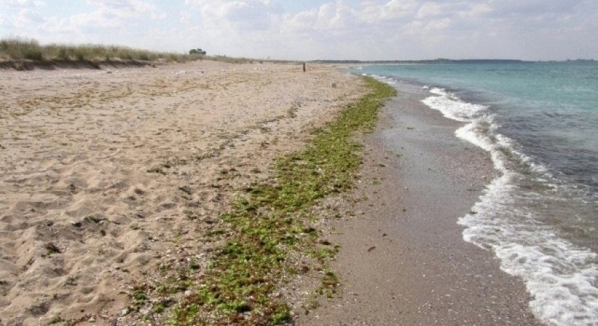 Евростат: България е сред 10-те най- предпочитани дестинации