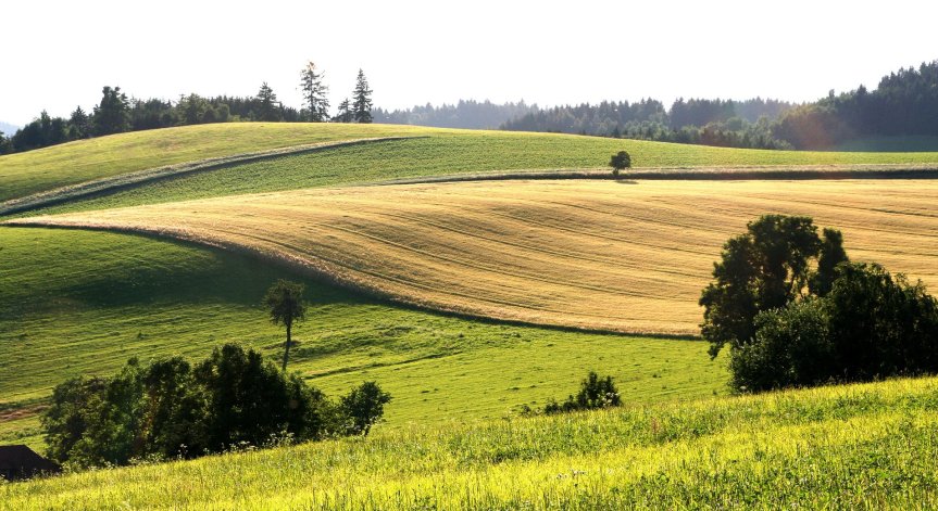 Безкрайни полета и огромни фирми: На Чехия ѝ писна от богатите барони и иска революция